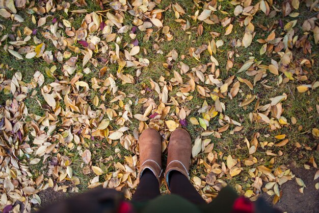 overhead shot of woman standing on autumn leaves