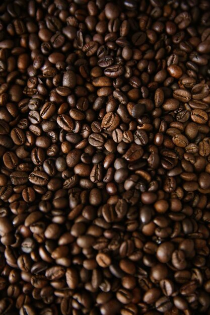 Overhead view of backdrop representing halves of dark brown coffee beans Texture of coffee beans