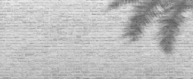 Photo overlay effect of shadows of tropical leaves on a white brick wall. abstract neutral nature brickwork concept blurred background. copy space. panorama summer backdrop. high quality photo