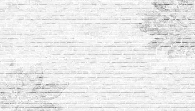 Photo overlay effect of shadows of tropical leaves on a white brick wall. abstract neutral nature brickwork concept blurred background. copy space. panorama summer backdrop. high quality photo