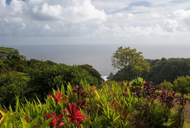 Overlook of pacific ocean at Keopuka Rock