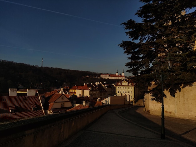 Overlooking cityscape from a bridge