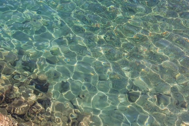 Overview of the seabed seen from above transparent water of the Red sea in Eilat Israel Seabed Background View from above to a stony seabed in clear water with abstract blue green pattern Diving