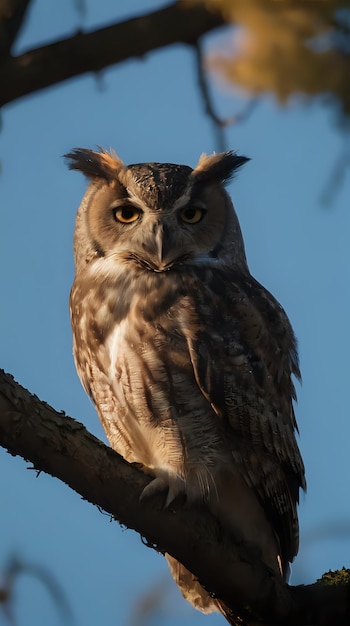 a owl sitting on a branch of a tree