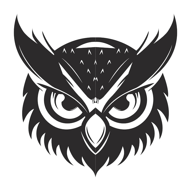 Photo owl vector