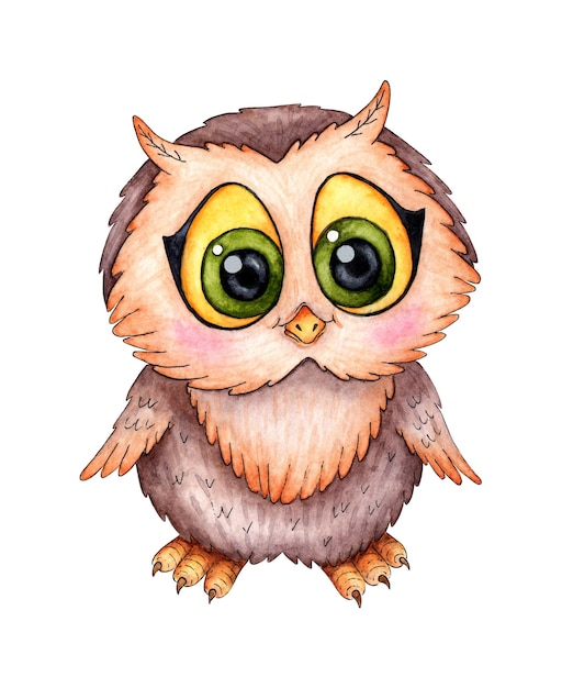 Owlet watercolor