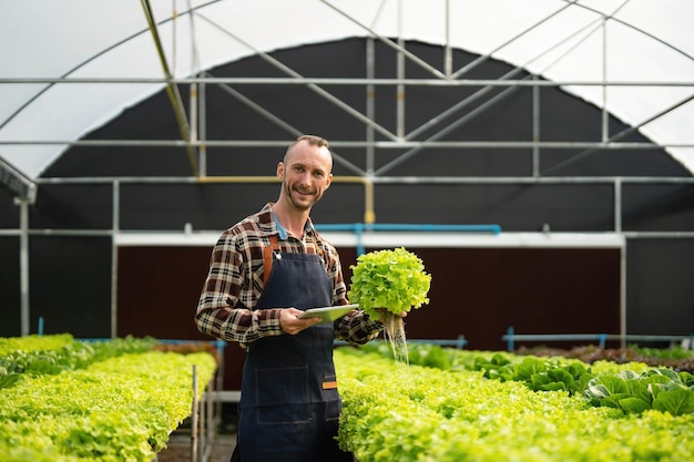 Owner of the hydroponics vegetable garden is checking the quality of the vegetables and checking or recording the growth of the vegetables in the garden Vegetables in the greenhouse