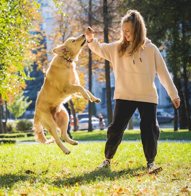 The owner plays the golden retriever dog in the park