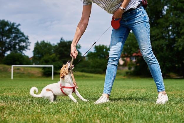 Owner walking dog at green field