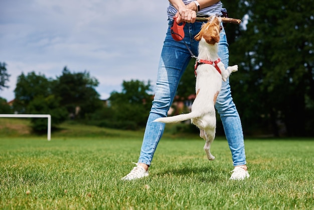 Owner walking dog at green field