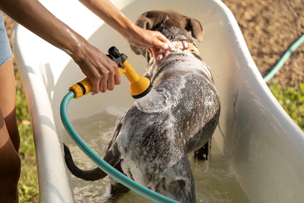 Owner washing dog with hose high angle