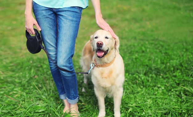 Owner woman walking with Golden Retriever dog on leash in summer park