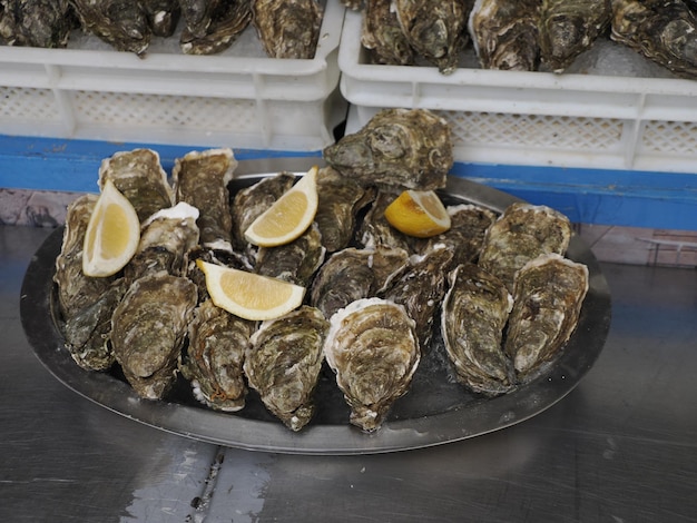 Oyster Fish market detail in Ortigia old wown siracuse Sicily