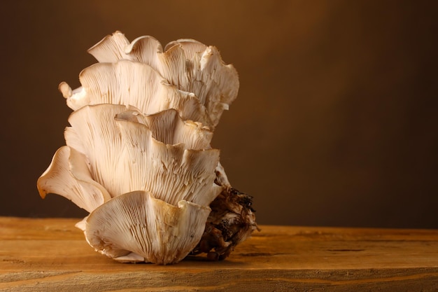 Oyster mushrooms wooden table on brown background