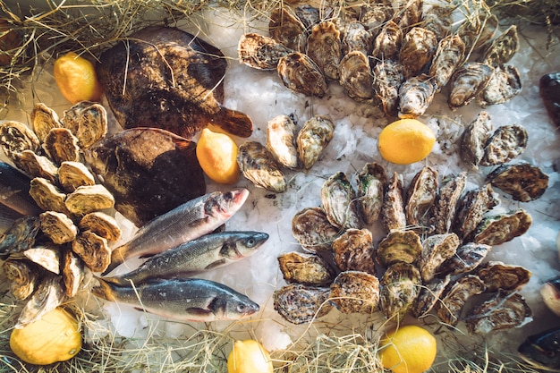 Oysters and other seafood on ice.