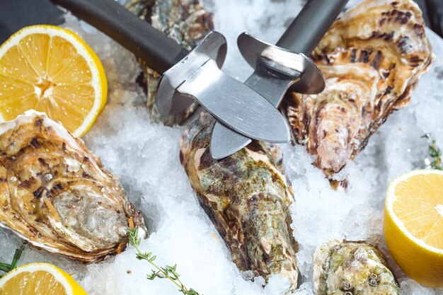 Oysters on stone plate with ice and lemon.