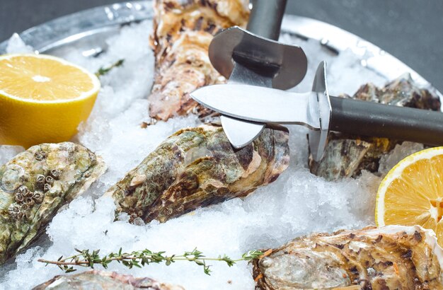 Oysters on stone plate with ice and lemon.