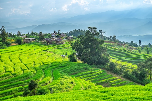 Pa Bong Piang Rice Terraces in Mae Chaem, Chiang Mai, Thailand.