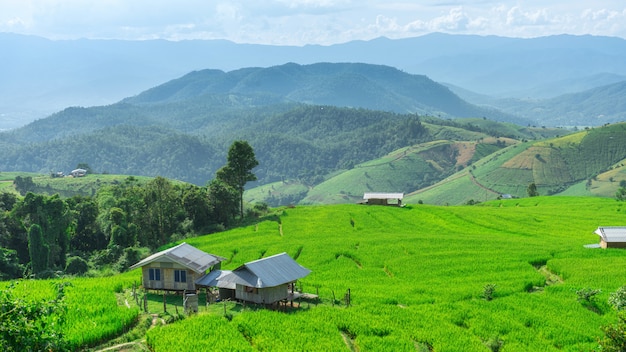 Pa Bong Piang Rice Terraces in Mae Chaem, Chiang Mai, Thailand.