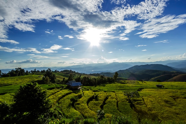 Pa Pong Piang Rice terraces,Chiang Mai,Mae Cham, Thailand