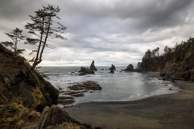 Pacific Ocean West Coast American Nature Background