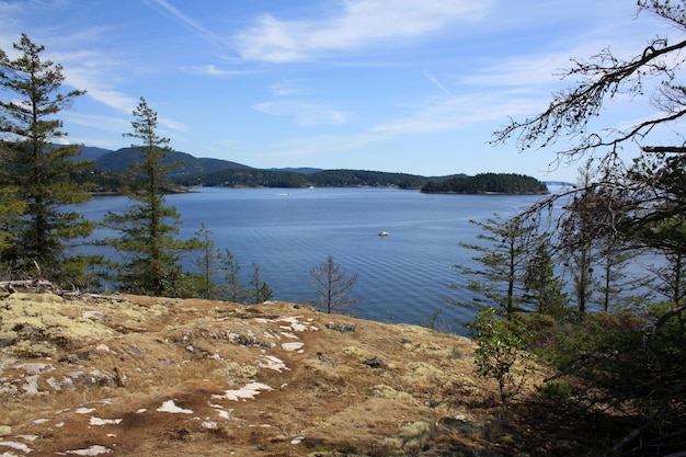 Pacific ocean and West Coast of the British Columbia Canada