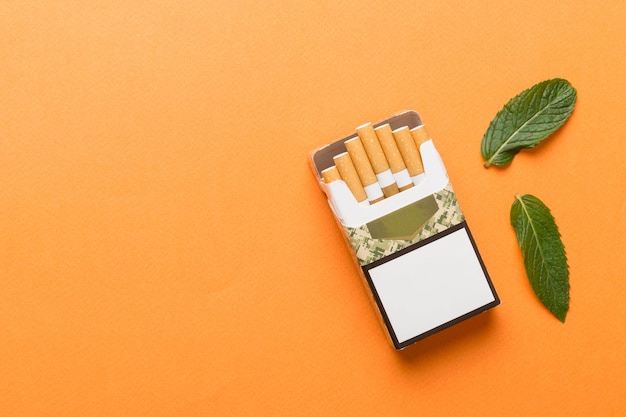 Pack of menthol cigarettes and fresh mint on colored table Menthol cigarettes top view flat lay