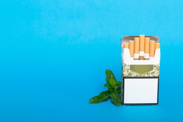 Pack of menthol cigarettes and fresh mint on colored table Menthol cigarettes top view flat lay