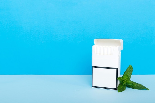 Pack of menthol cigarettes and fresh mint on colored table Menthol cigarettes top view flat lay