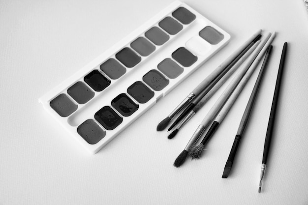 Paint brushes and a set of paints black and white