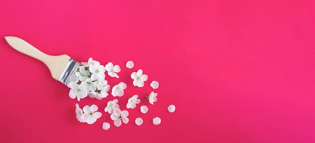 Paintbrush with white cherry bloom on the pink background Top view Copy space