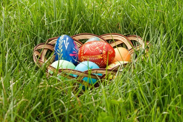 Painted and colorful Easter eggs in wicker basket in spring green grass