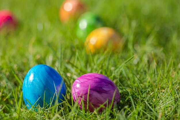 Painted decorated colorful easter eggs in fresh green grass with copy space spring happy easter conc