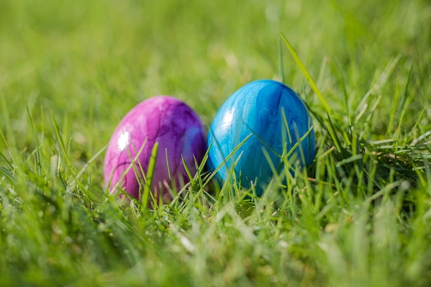 Painted decorated colorful easter eggs in fresh green grass with copy space spring happy easter conc