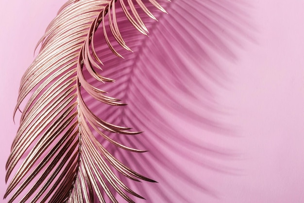 Painted Golden tropical leaves spins on on pink pastel background Natural Creative layout