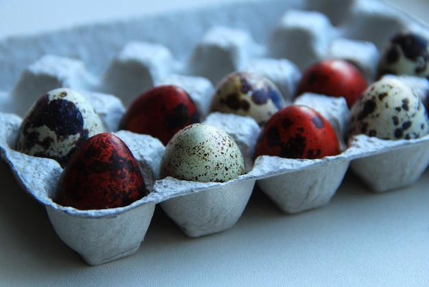 Painted quail eggs in a box for easter