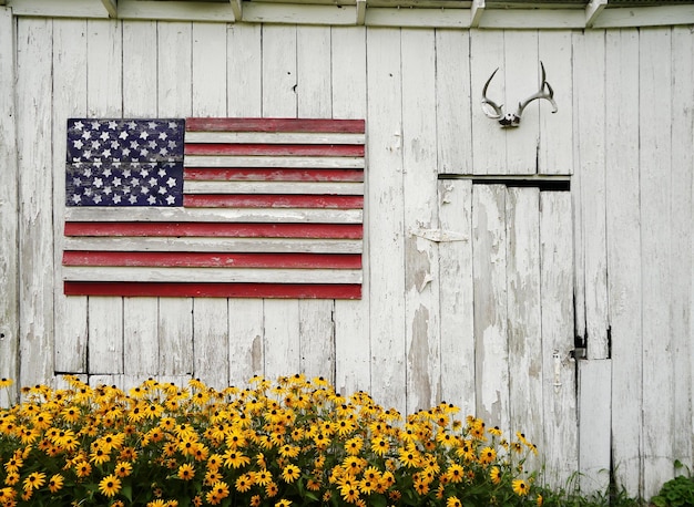 Painted wooden american flag, deer antlers, and a beautiful brown-eyed susan flowers in an old shed