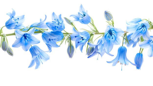 a painting of blue flowers with the word blue on it