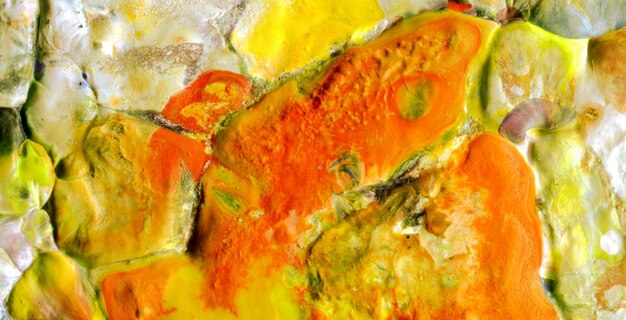 A painting of a fish with yellow and orange paint