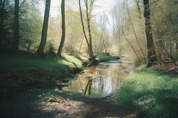 A painting of a stream with trees and the sun shining on it.