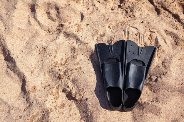 A pair of black flippers on the background of sand next to the water, top view. Swimming equipment