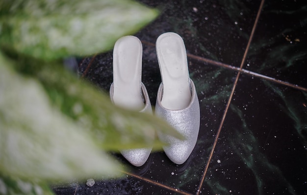 A Pair of Bride's Shoes for Wedding Ceremony