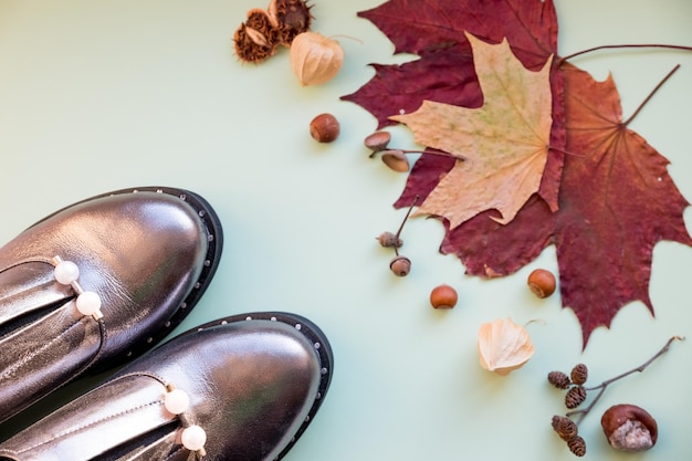 Pair of brown female boots with bright autumn leaves isolated on colorful backgroundautumn fashion