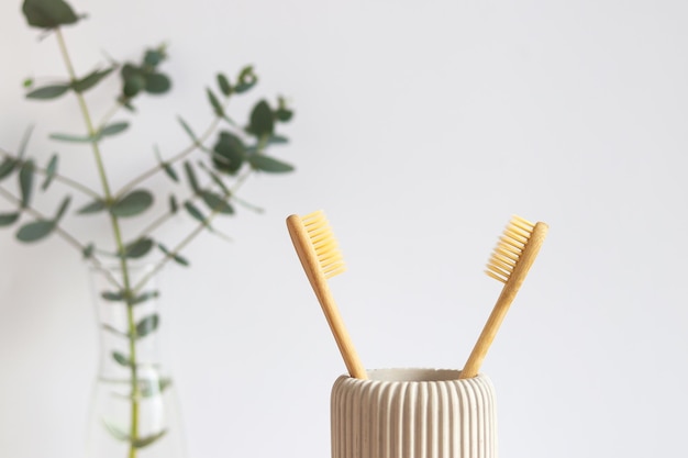 A pair of ecofriendly bamboo toothbrushes and eucalyptus twigs Oral hygiene and zero waste concept