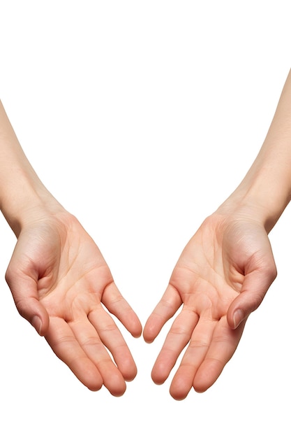 A pair of hands with palms up