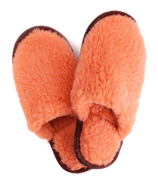 Pair of house slippers