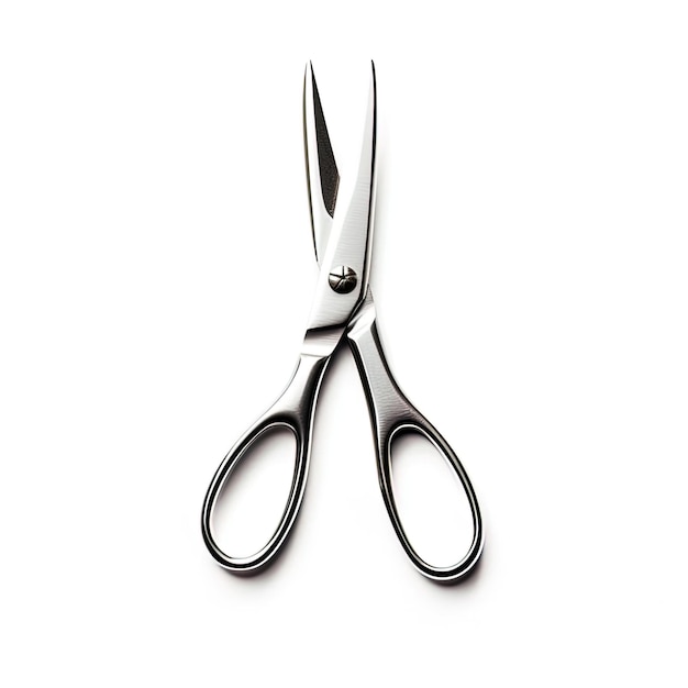 a pair of scissors with a round button on the front