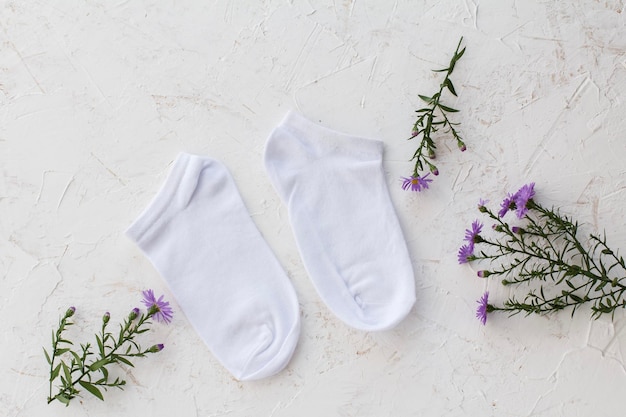 Pair of women socks on white background