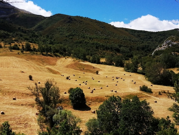 Paisaje agrario de montaa con trabajos agricolas en laderas inclinadas