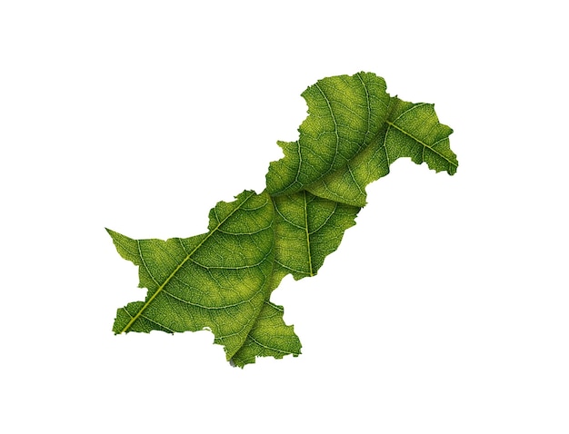 Pakistan map made of green leaves concept ecology Map green leaf on white background